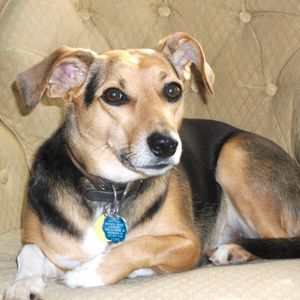 Meet your Posher, Curt